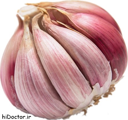 garlic2