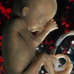عکس های با کیفیت و واقعی از جنین انسان 4