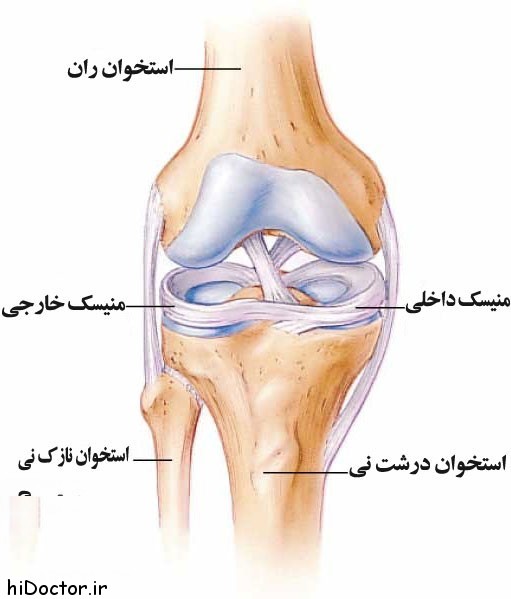 meniscus-elmevarzesh