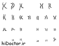 250px-NHGRI_human_male_karyotype