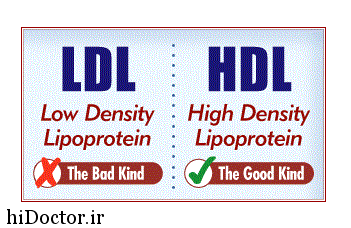 HDL مفید است یا LDL؟
