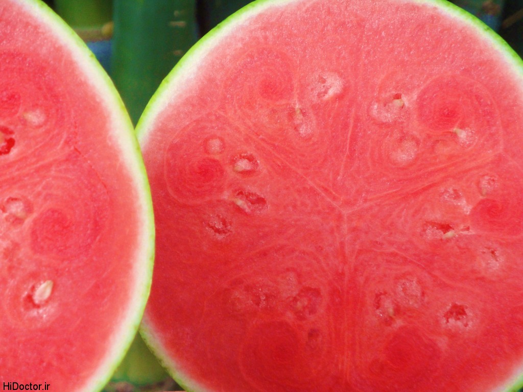 hendevaneh-Watermelon-photo (2)