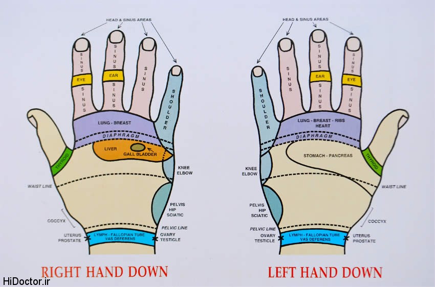reflexology hand chart1 