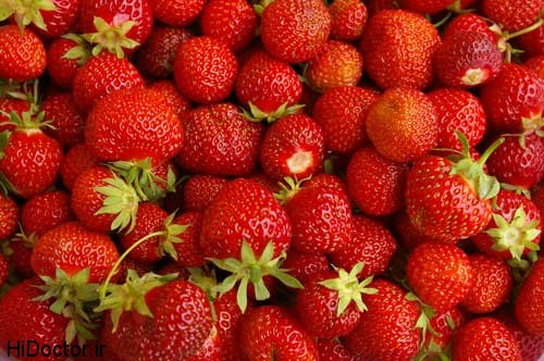Strawberries photos tootfarangi 2 عکس های تماشایی از میوه ی خوشمزه توت فرنگی