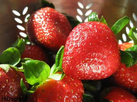 Strawberries photos tootfarangi 25 عکس های تماشایی از میوه ی خوشمزه توت فرنگی