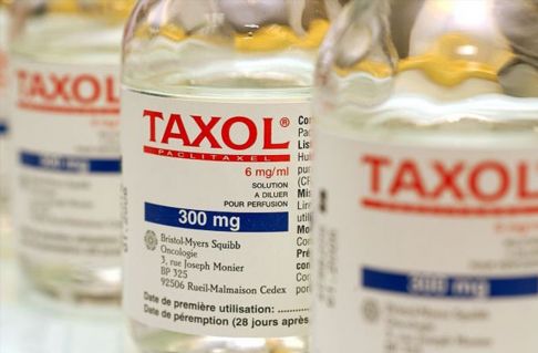 1379839963_cancer-drug-taxol