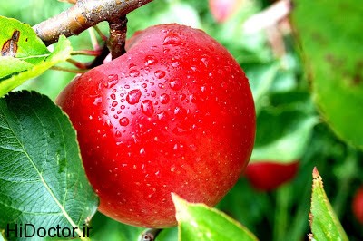 20 Health Benefits of Apples