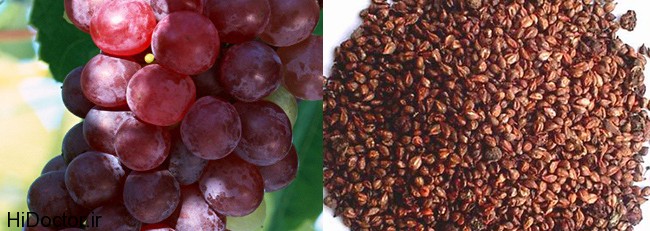 grape-seed-extract