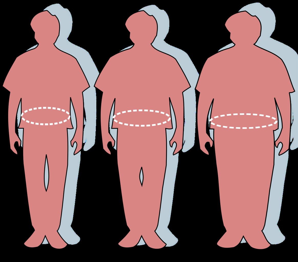 1163px-Obesity-waist_circumference.svg