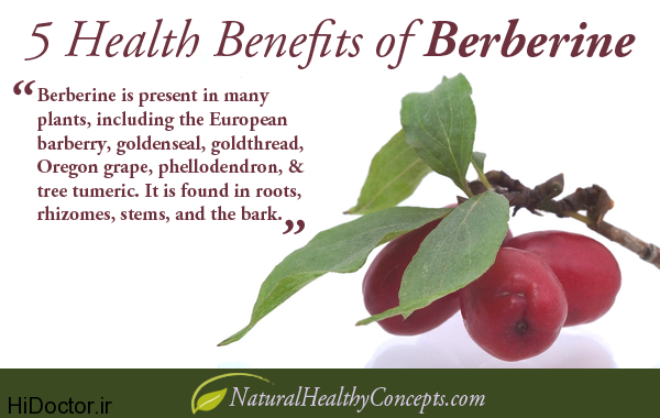 berberine-post