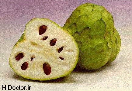 cherimoya Fruit Miveh 1 عکس های میوه چری مویا