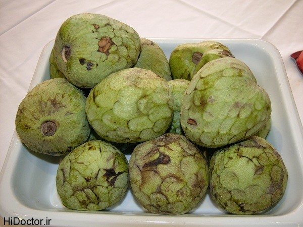 cherimoya Fruit Miveh 5 عکس های میوه چری مویا