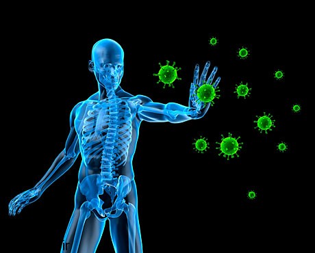 immune system health 460 چرا مریضی سراغ این افراد نمی رود؟