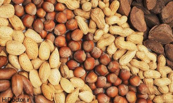 nuts-416710