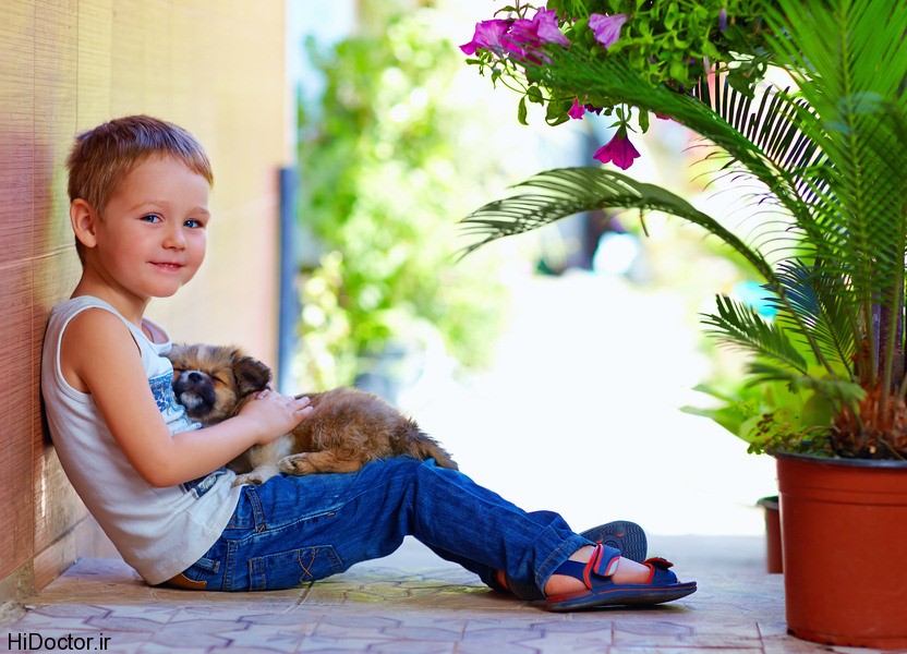 petting hobby opt 10 سرگرمی که ذهن را آرام میکند
