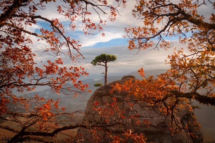 photo paeiz 19 عکس هایی از زیبایی های فصل پاییز