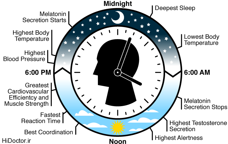 biological-clock-LG