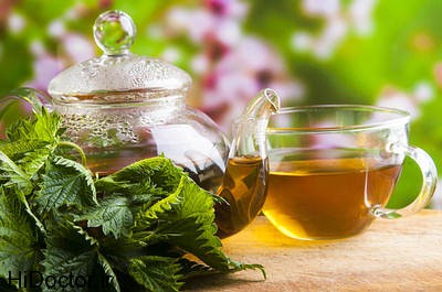 stinging nettle tea opt چگونه سطح هموگلوبین را بطور طبیعی افزایش دهیم