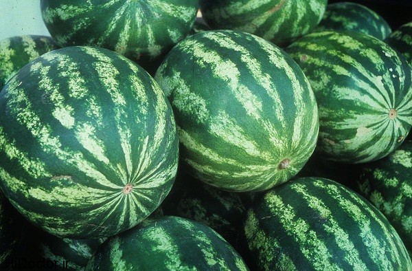 watermelons عکس هایی از هندوانه و خواص آن