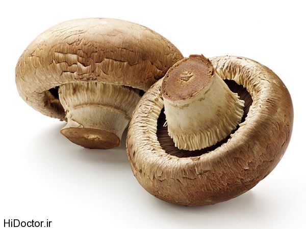 ways_to_eat_mushrooms11_600x450