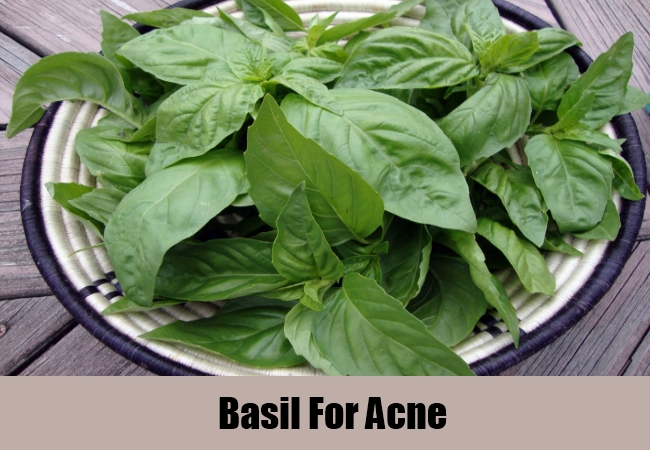 Basil--Acne