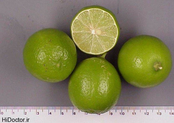 Persian_lime