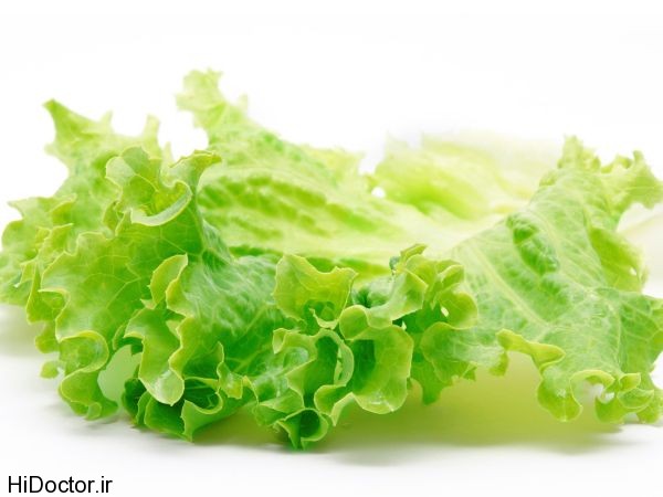 lettuce_store