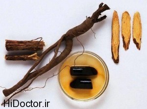 گیاه دارویی شیرین بیان Glycyrrhiza glabra 1