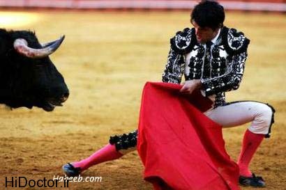bullfight.01