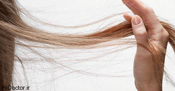 how-to-save-and-regrow-your-hair-with-just-one-ingredient-600x312