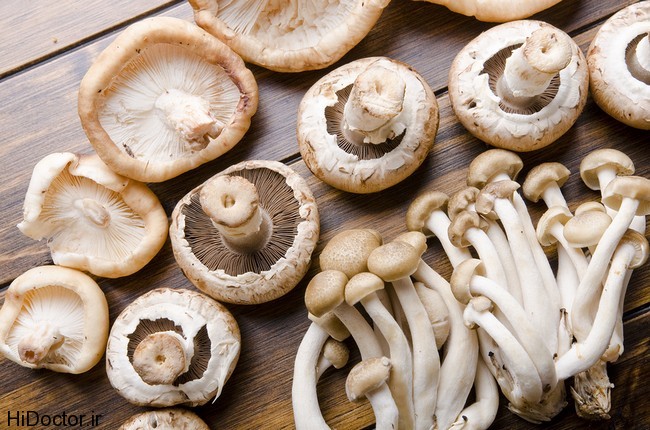 [عکس: mushrooms.jpg]