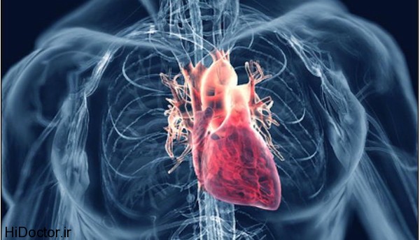 how can i incorporate cardio into Cardiovascular