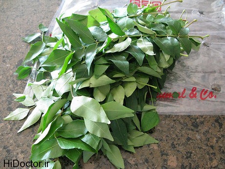 [عکس: curry-leaves.jpg]