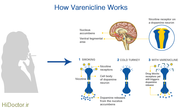 how-varenicline-work