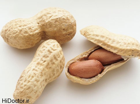 Peanut (1)