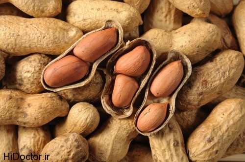 Peanut (11)