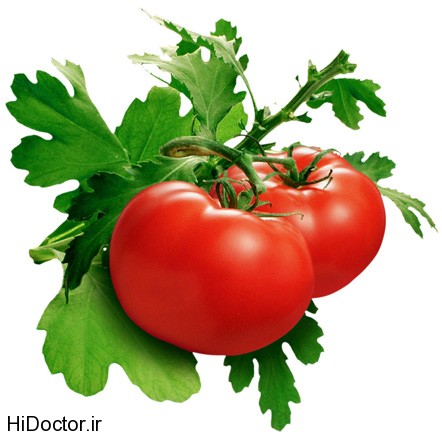 Tomato (1)