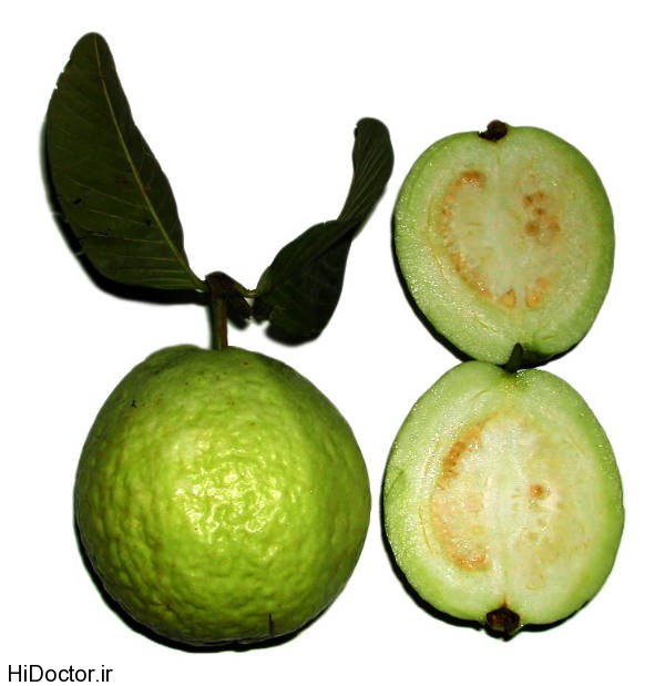 guava (5)