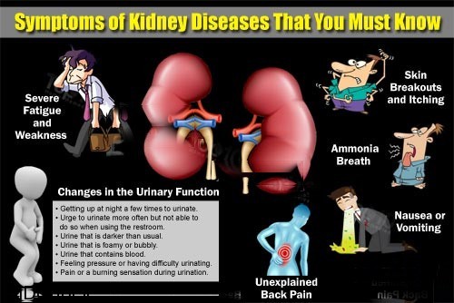 kidney-disease