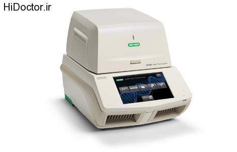 real time PCR (1)