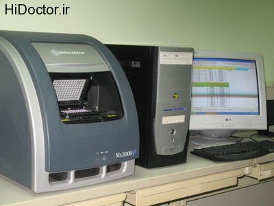 real time PCR (7)