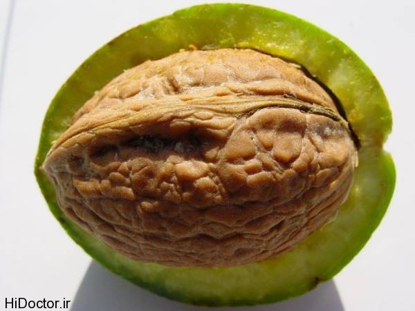 walnut (3)