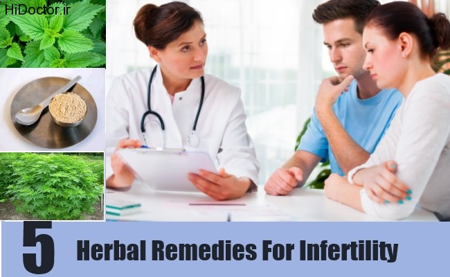 5-Herbal-Remedies-For-Infertility1