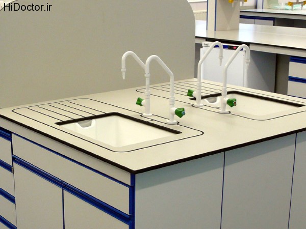 Laboratory sink (10)