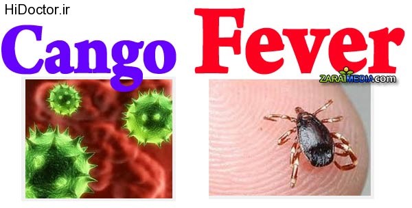 http://www.hidoctor.ir/wp-content/uploads/2015/06/cango-fever.jpg