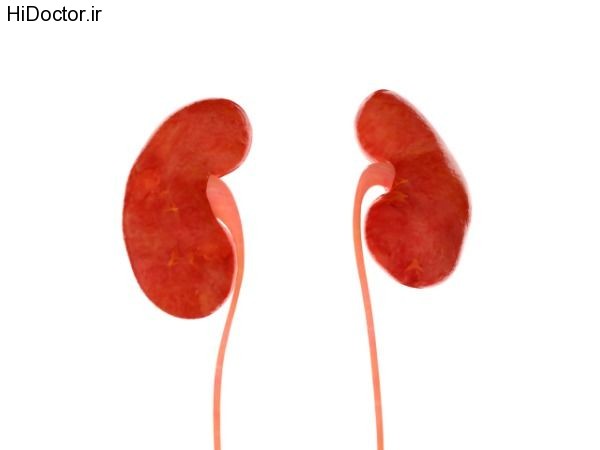 kidneys1
