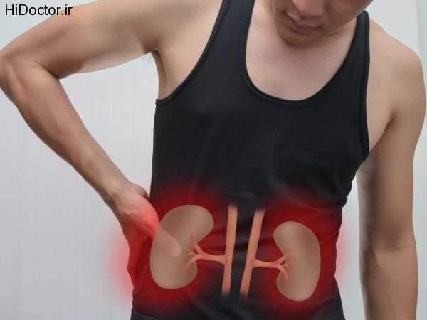 kidneys2