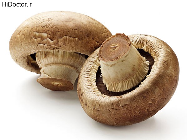 mushrooms111