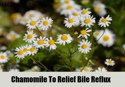Chamomile-To-Relief-Bile-Reflux