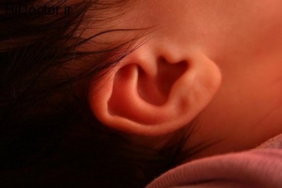 baby-ear.jpg__800x600_q85_crop